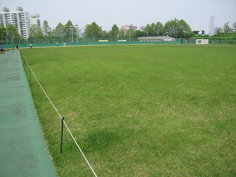 035d056eaa26619208ce80504d2c98be_1464587