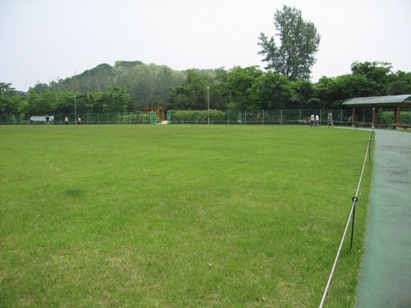 035d056eaa26619208ce80504d2c98be_1464587