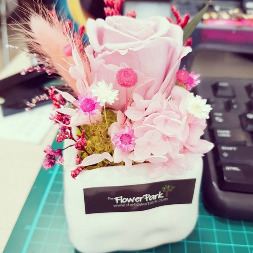 998a0a928ddc379e78a1f8392ddadd79_1557959